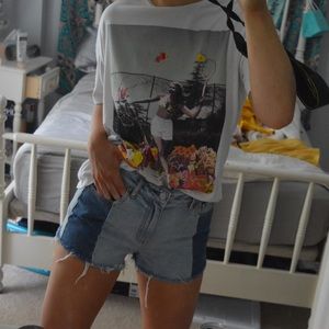 Pacsun Multi-tone Shorts